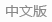 中文版